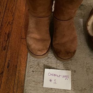 Chestnut Uggs